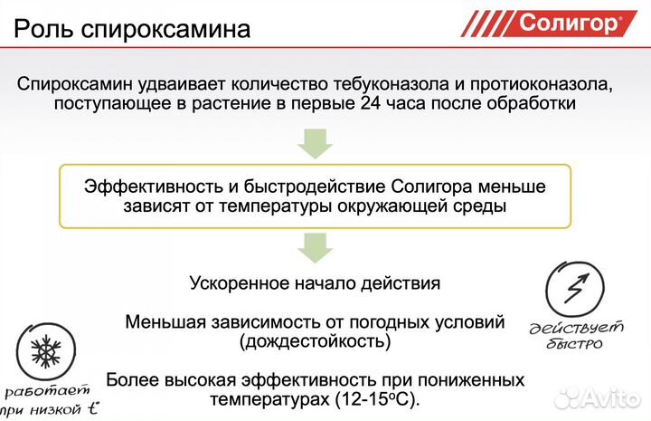 Солигор фунгицид