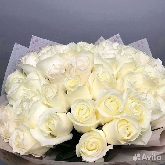 Розы Высокие 150см 160см 170см 180см 190см 2м