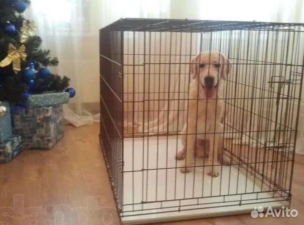 Клетка с поддоном для собак кошек