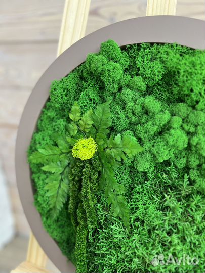 Панели из стабилизированного мха