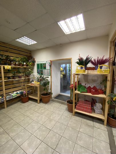 Свободного назначения, 260 м²