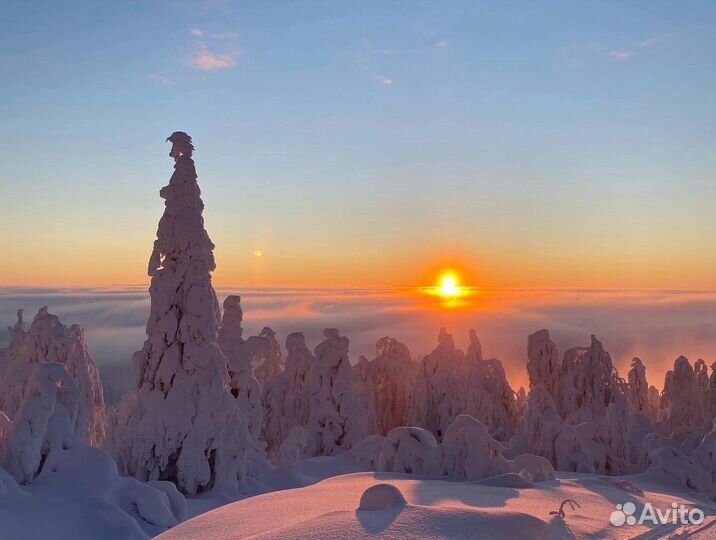Полюд и Ветлан на снегоходах
