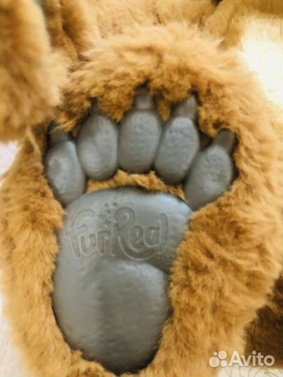 Медведь full real