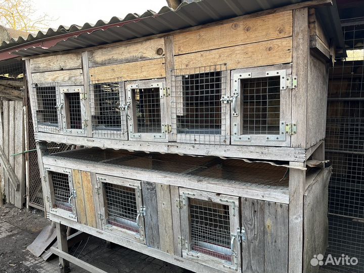 Клетка для кролика и птиц