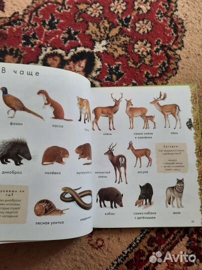 Энциклопедия Clever