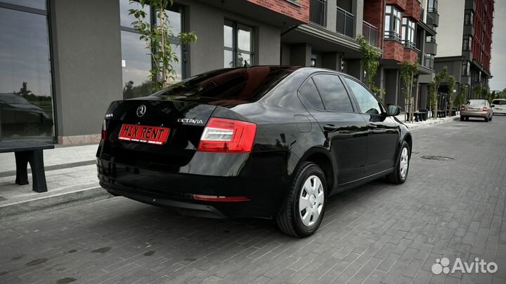 Аренда/прокат автомобиля Skoda Octavia АКПП