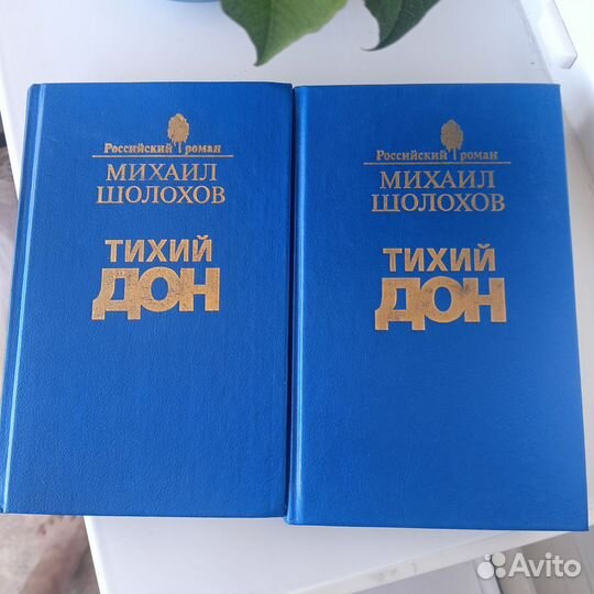 М. Шолохов Тихий Дон 2 книги