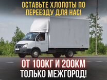 Грузоперевозки