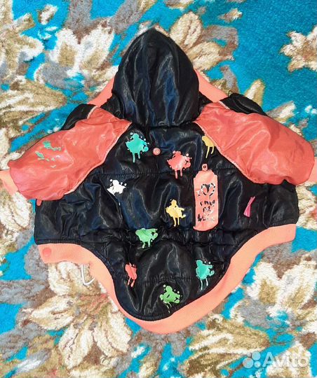 Одежда для мелких собак