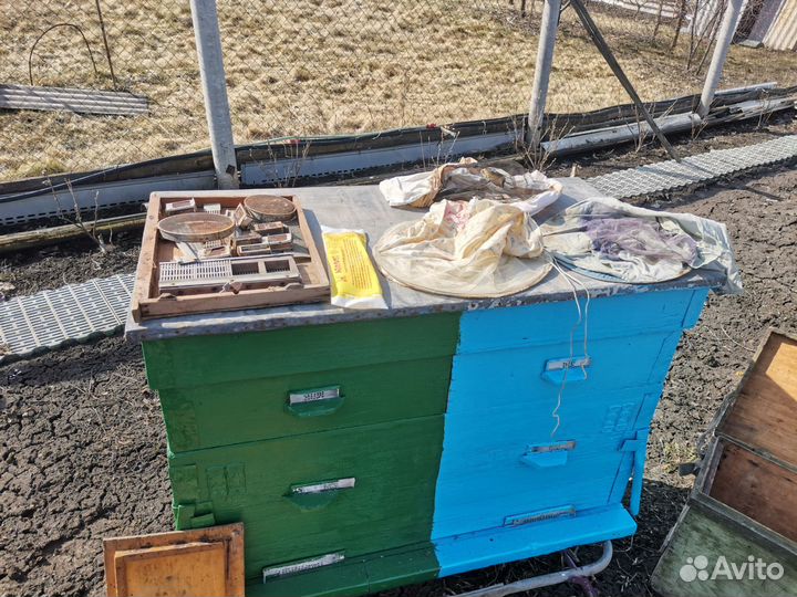 Продам пасеку