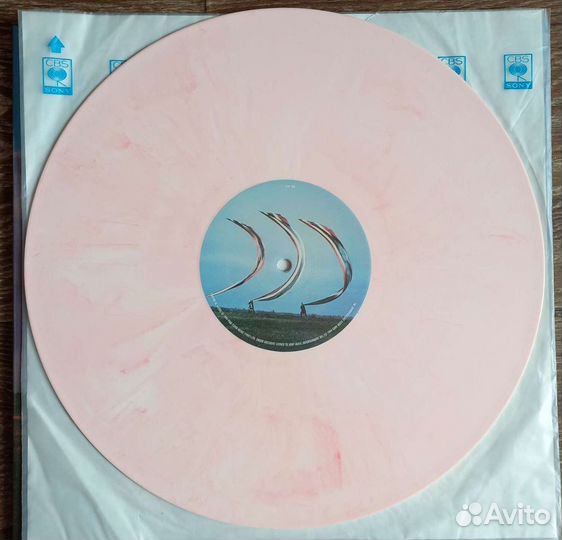 Pink Floyd the division bell