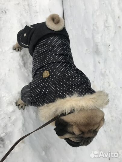 Комбинезон для собак