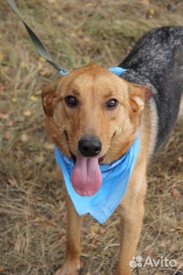 Баффи, несмотря на все пережитое, улыбается