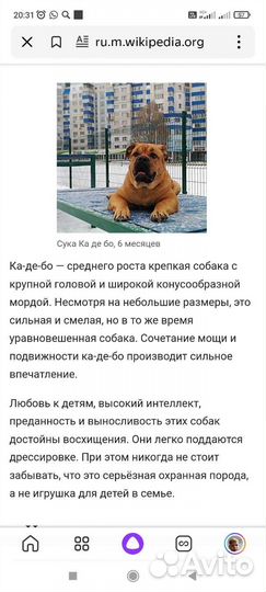 Щенки ка де бо