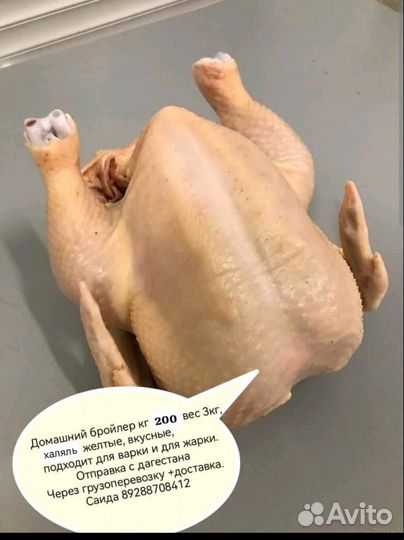 Домашний бройлер