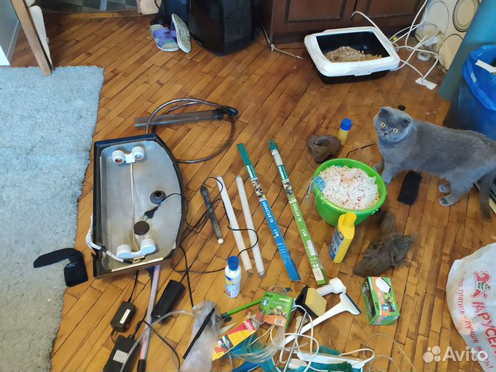 Аквариум aquaplus 60л + комплектующие Шгв 60 25 40