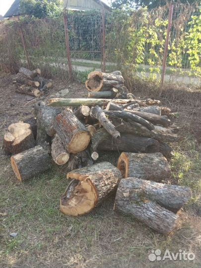 Дрова бесплатно самовывоз