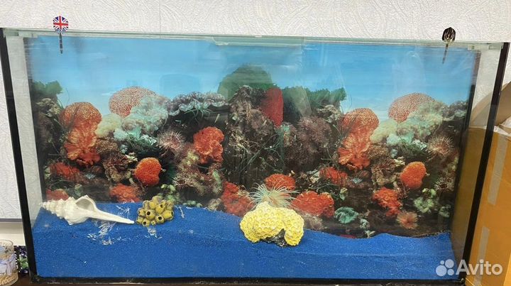 Аквариум