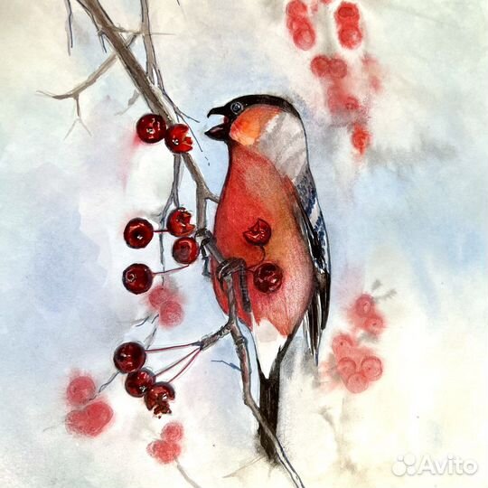Постер снегирь
