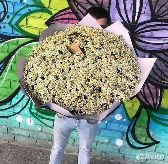 Букеты ромашек