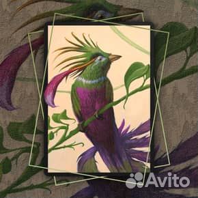 MtG Arena коды на бустера и красивости Magic