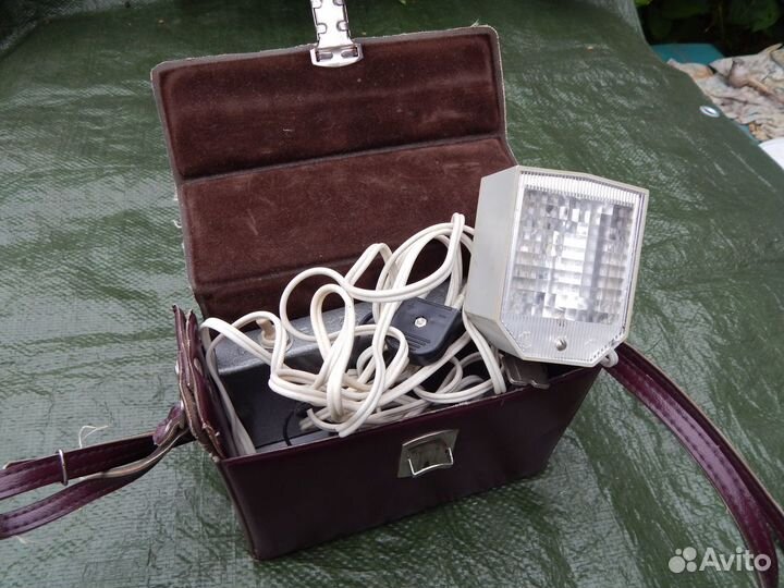 Фотовспышка чайка