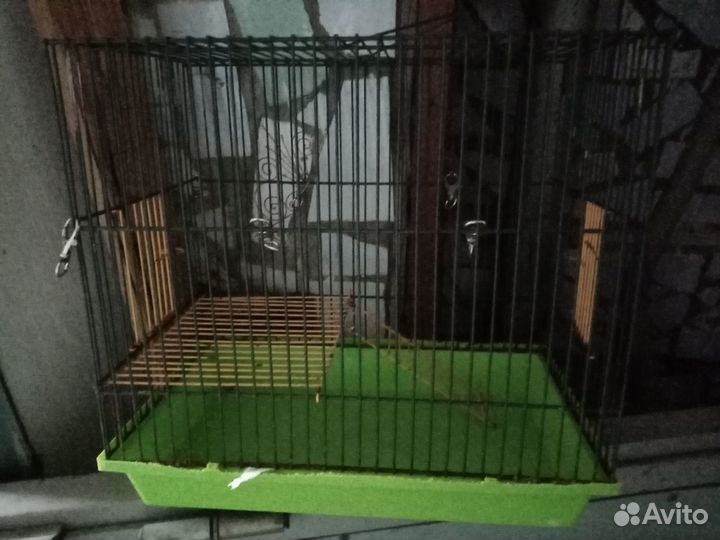 Клетки для птиц