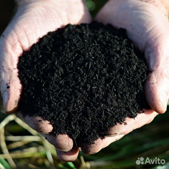 Чернозем Торфосмесь Грунт