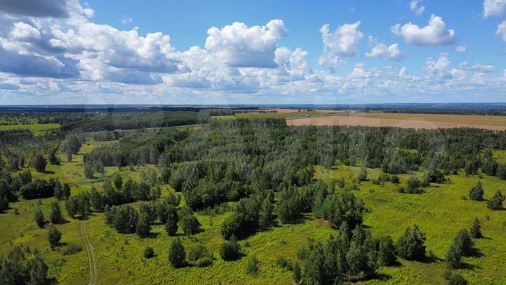 Участок 220 га (СНТ, ДНП)