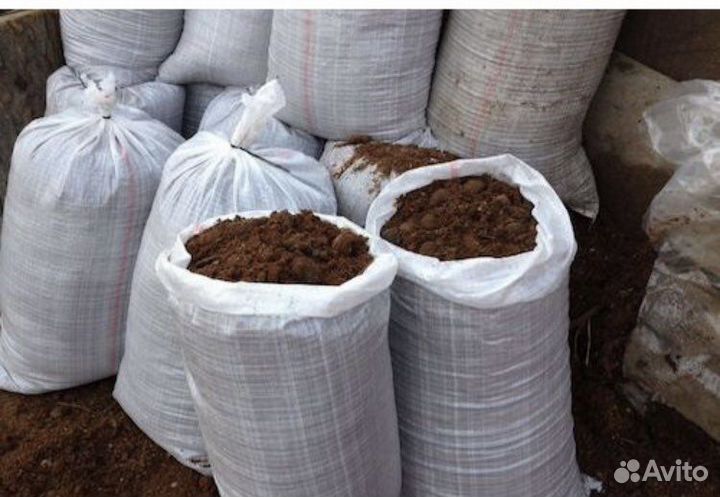 Навоз коровий