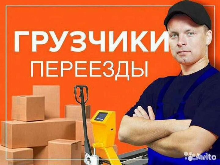 Грузчики, Газели