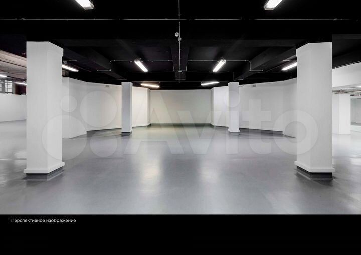 Торговая площадь, 292.48 м²