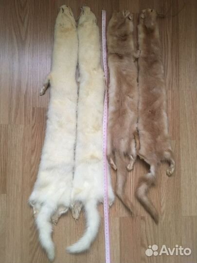 Шкурки норки