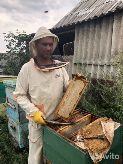 Мед 100 натуральный 2023г