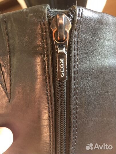 Сапоги женские весенние Geox