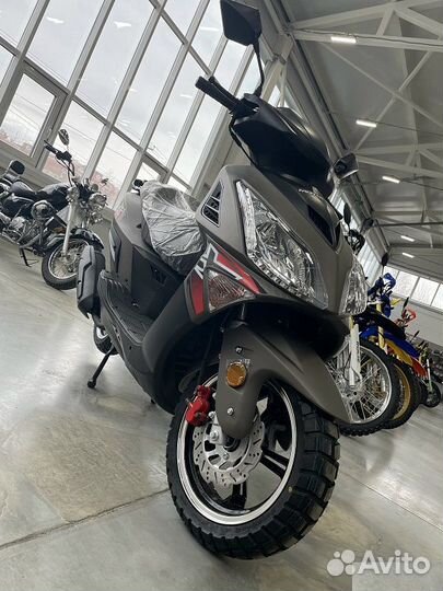 Скутер motoland (мотоленд) paladin sport 200 (150)