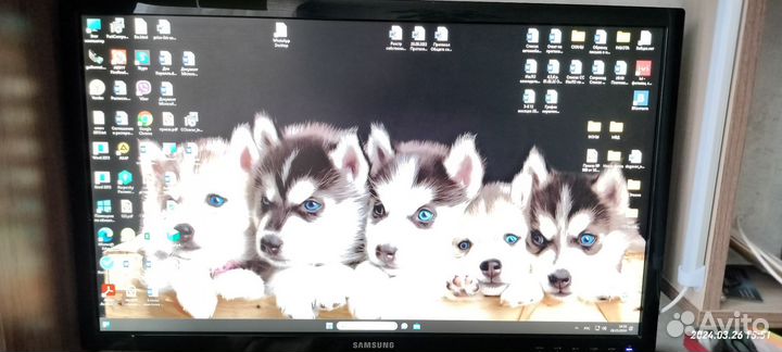 Acer