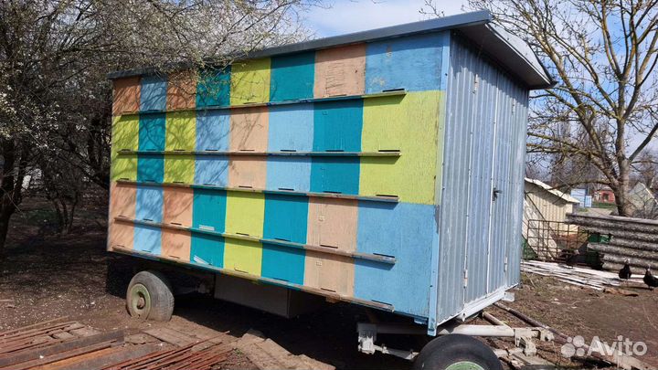 Пчелоповильон