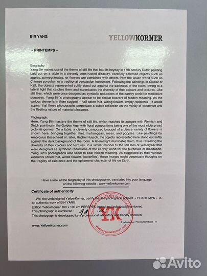 Картина Yang Bin “Printemps» Yellow Korner