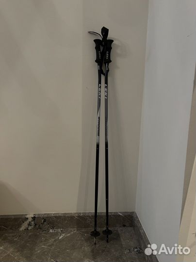 Горные лыжи