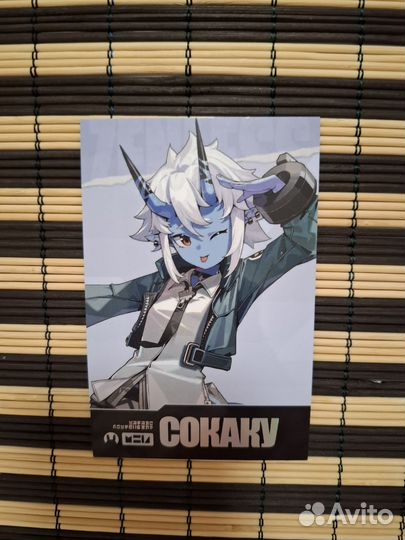 Официальная карточка Zenless Zone Zero. Сокаку