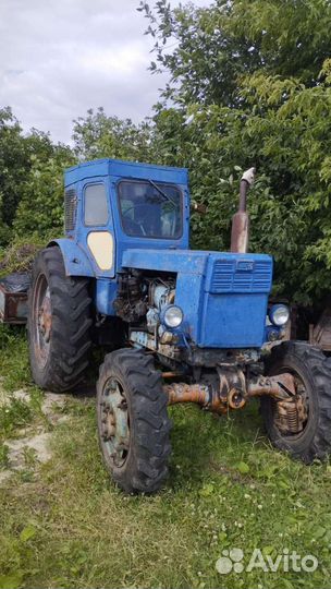 Трактор ЛТЗ Т-40АП, 1983