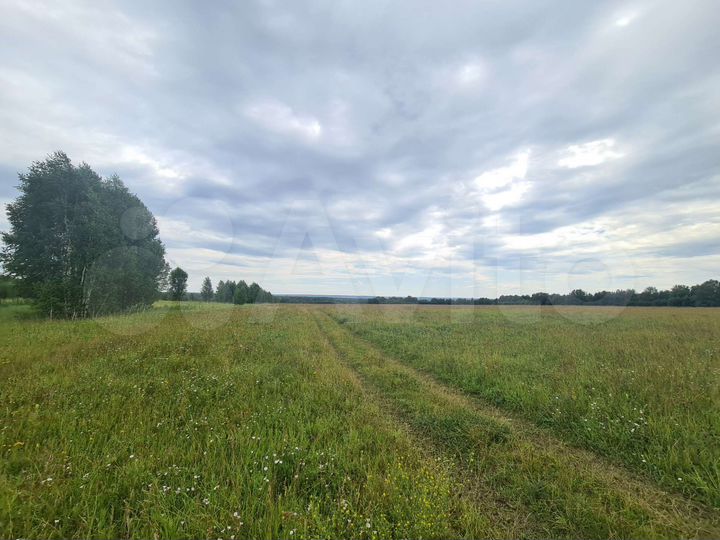 Участок 100 сот. (СНТ, ДНП)