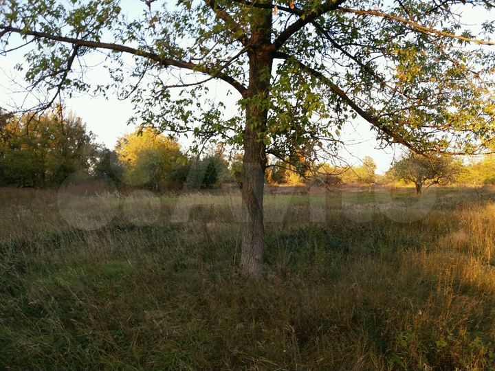 Участок 15 сот. (ИЖС)