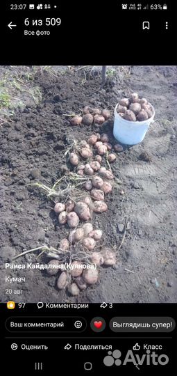 Продам картофель