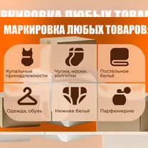 Маркировка. Честный Знак под ключ, Ступино