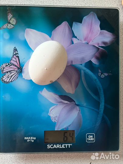 Весы кухонные электронные scarlett