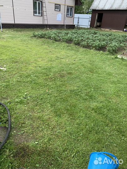 Покос травы газонокосилкой