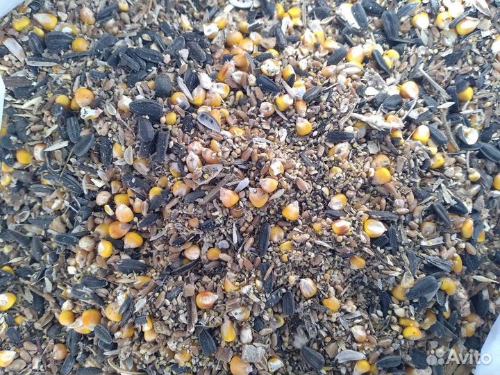 Зерносмесь комбикорм