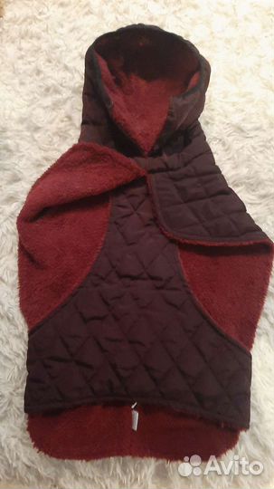 Одежда для собак